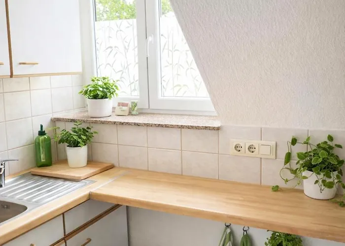 Nivas - Zentrum - Helios Klinik - Hbf - Messe 20 Min - Netflix Appartement *